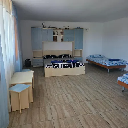 Guest house Pensiunea Nina